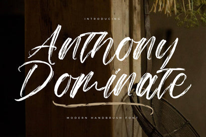 Anthony Dominate - Modern Handbrush Font Font Letterena Studios 