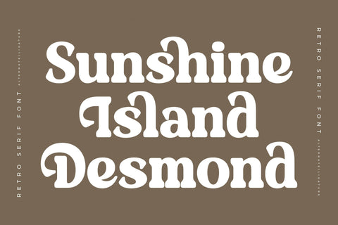 Daylist Beach - Retro Serif Font Font Letterena Studios 