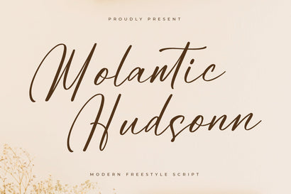 Molantic Hudsonn - Modern Freestyle Script Font Letterena Studios 
