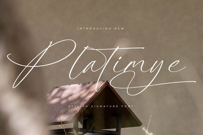 Platimye - Stylish Signature Font Font Letterena Studios 