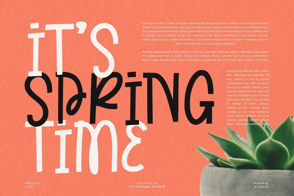 Prolific - Playful Font - So Fontsy
