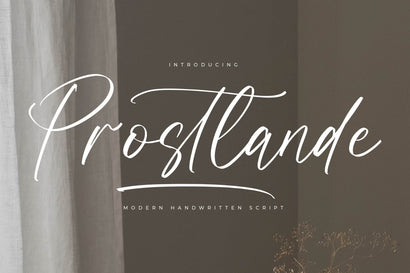 Prostlande - Modern Handwritten Script Font Letterena Studios 