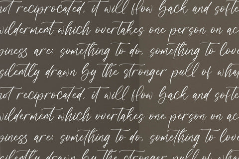 Prostlande - Modern Handwritten Script Font Letterena Studios 
