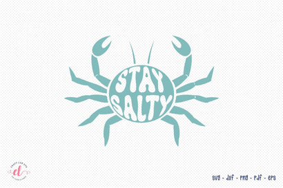 Stay Salty - Retro Summer SVG Design SVG CraftLabSVG 