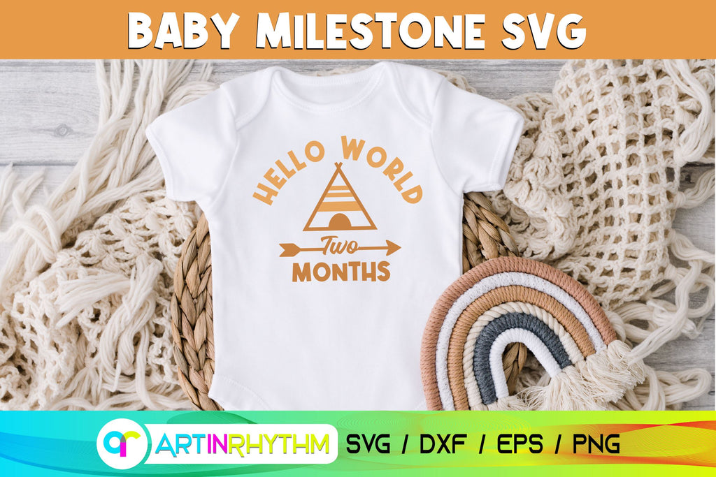 12 Baby Monthly Milestone svg bundle - So Fontsy
