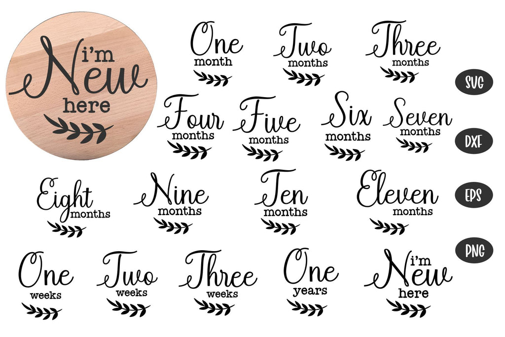 16 Baby Monthly Milestone svg, Baby svg - So Fontsy