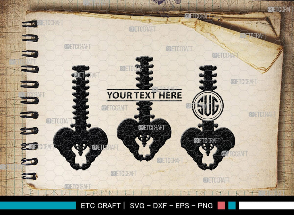 Anatomy Spine monogram, Anatomy Spine Silhouette, Anatomy Spine SVG