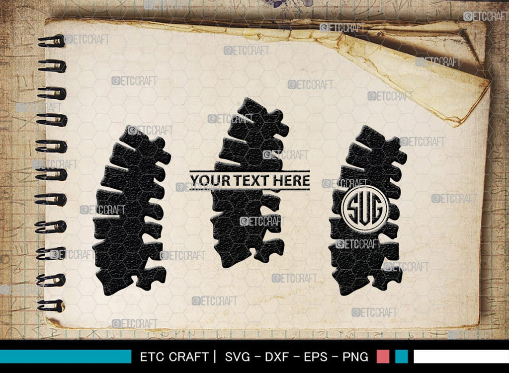 Anatomy Spine monogram, Anatomy Spine Silhouette, Anatomy Spine SVG