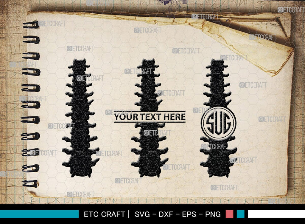 Anatomy Spine monogram, Anatomy Spine Silhouette, Anatomy Spine SVG
