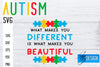 Autism SVG | Autism Quotes SVG | Autism Awareness SVG Fly Design