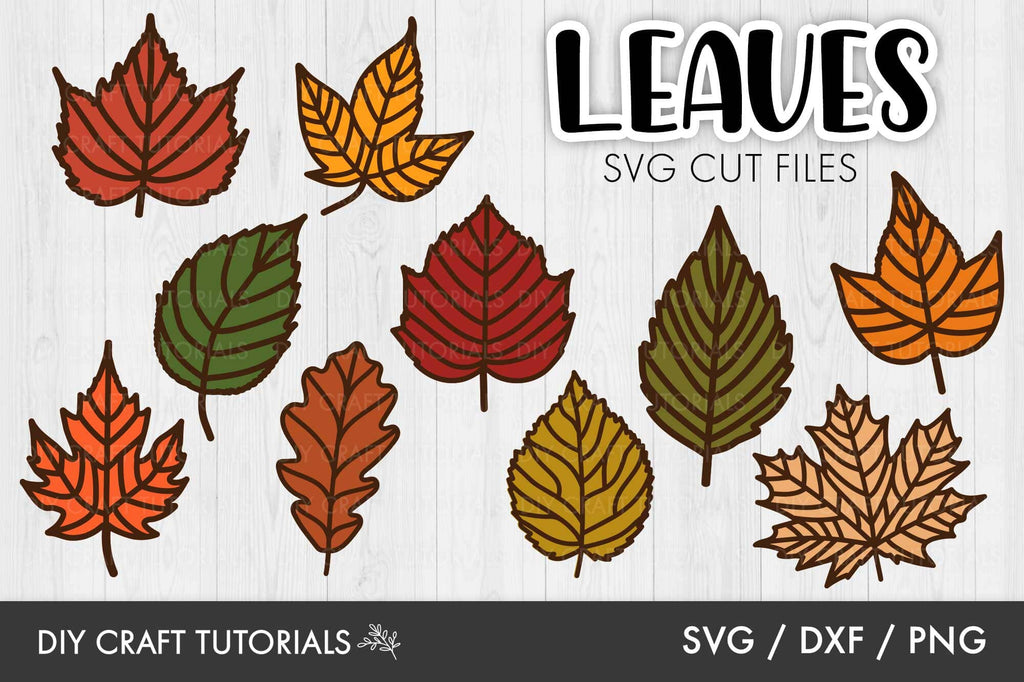 Autumn Leaves Svg 