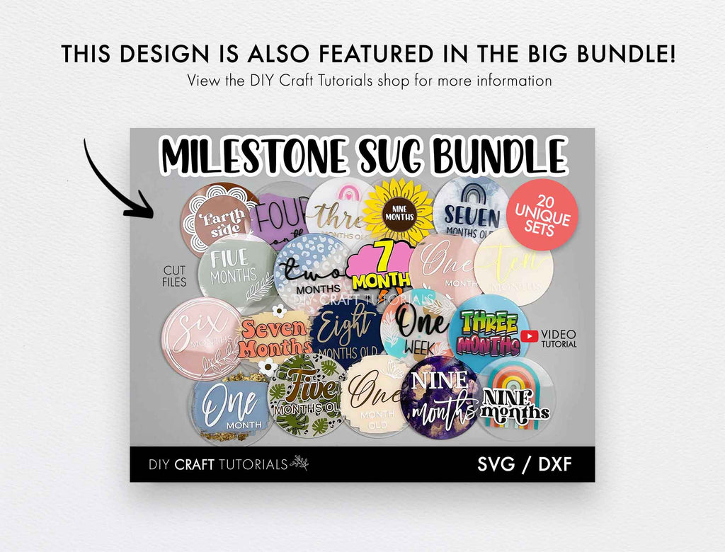 Baby Milestone Disc SVG Bundle 2 - So Fontsy