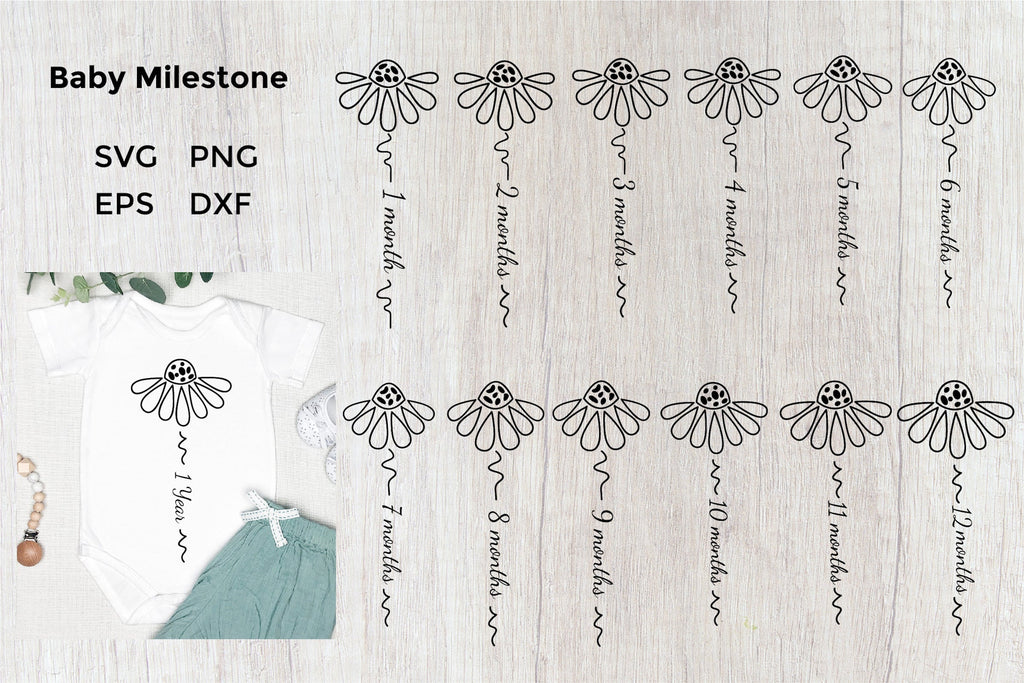 Baby Milestone SVG Bundle. Babys First Year Monthly SVG, PNG - So Fontsy