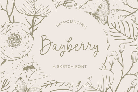 Bayberry - a Sketch Font Font nhfonts 