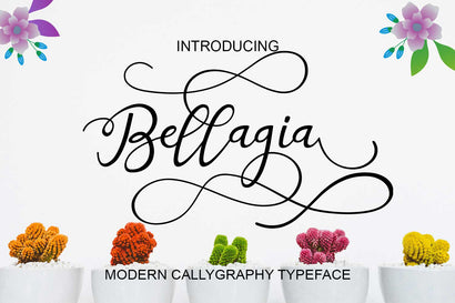 Bellagia Font arwah studio 