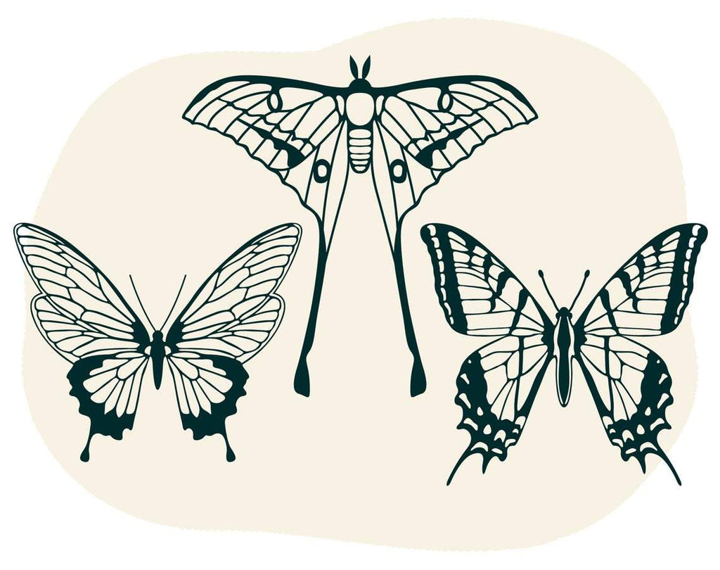 butterfly koi silhouette