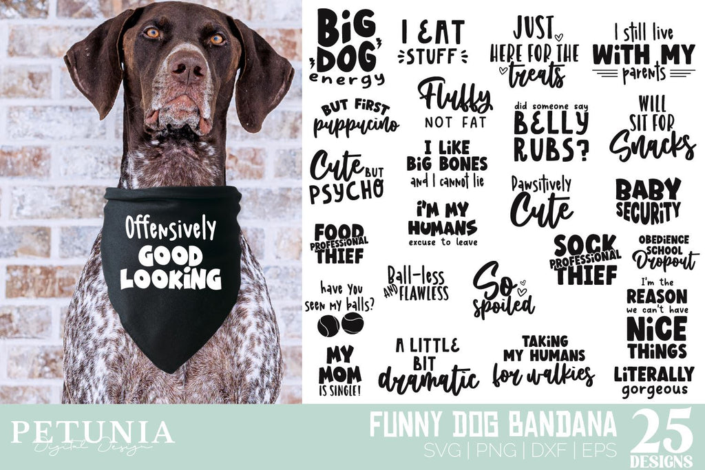Dog SVG Bundle, Funny Dog SVG Designs, Dog Bandana Design, SVGs,Quotes and  Sayings,Food & Drink,On Sale, Print & Cut - So Fontsy