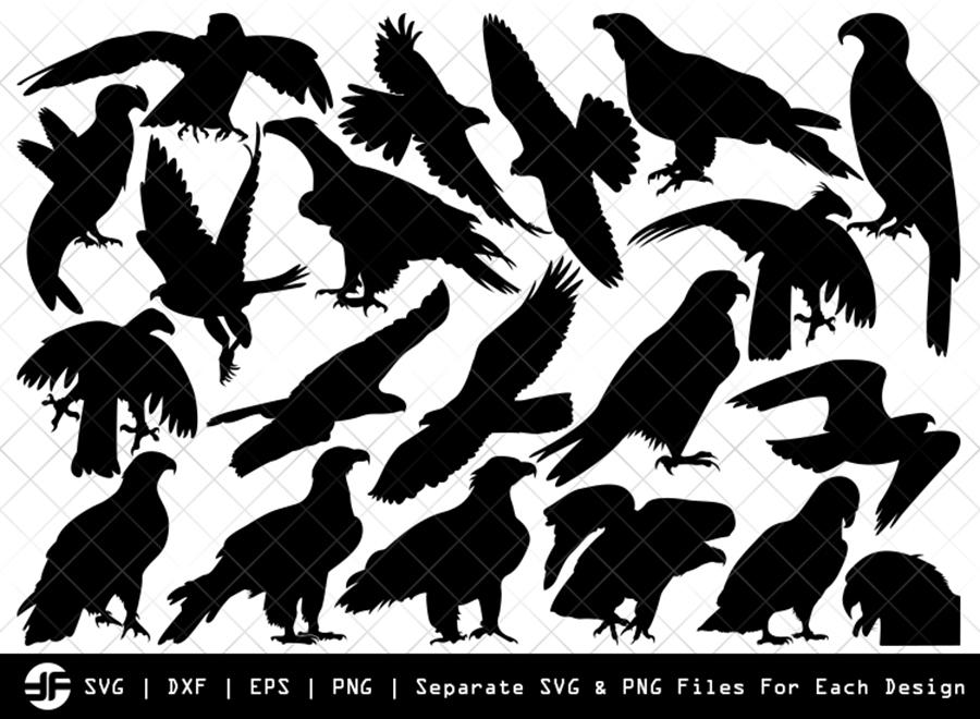 Eagle SVG | Eagle Silhouette | Bird Bundle | SVG Cut File - So Fontsy
