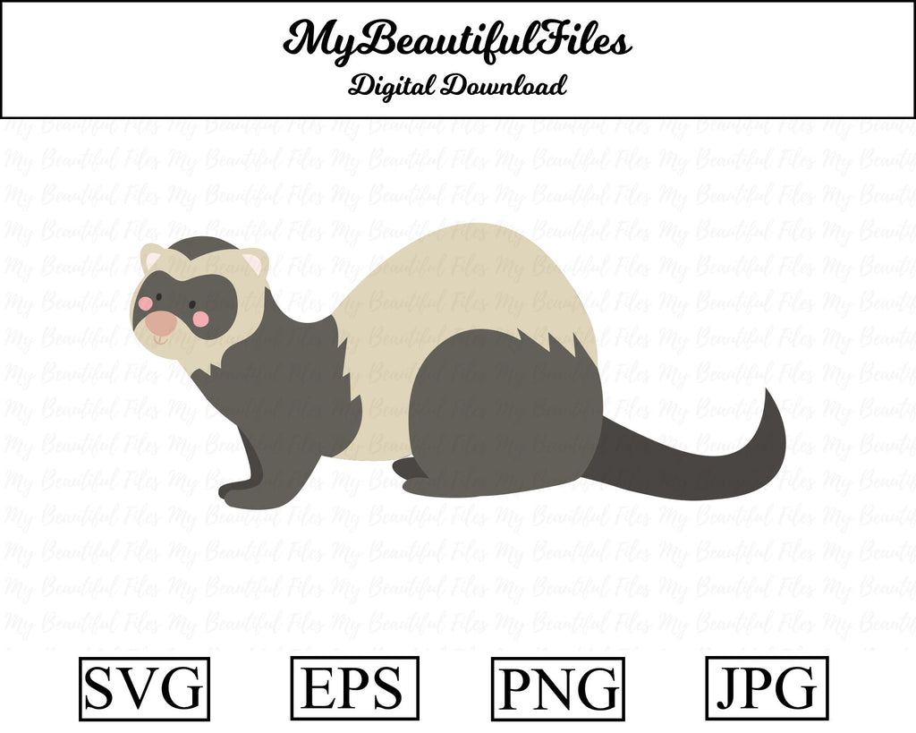 ferret animal So Fontsy
