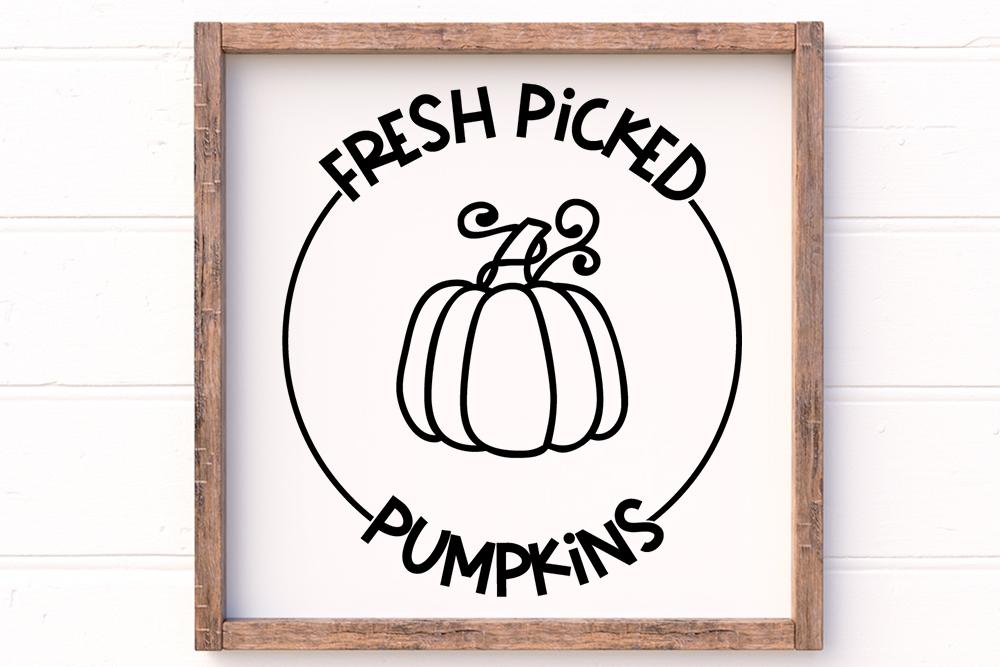 Fresh Picked Pumpkins SVG - So Fontsy