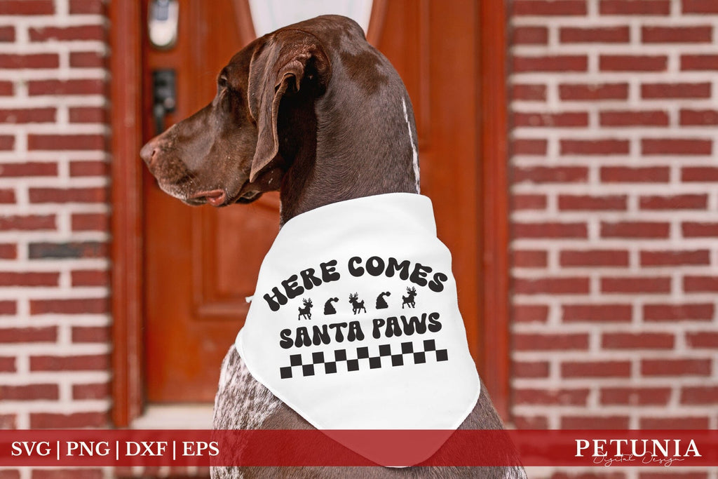 Here Comes Santa Paws SVG | Funny Christmas Dog Bandana SVG - So Fontsy