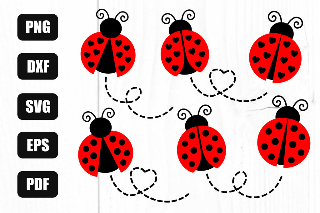 Ladybug Cartoon PNG & SVG Design For T-Shirts