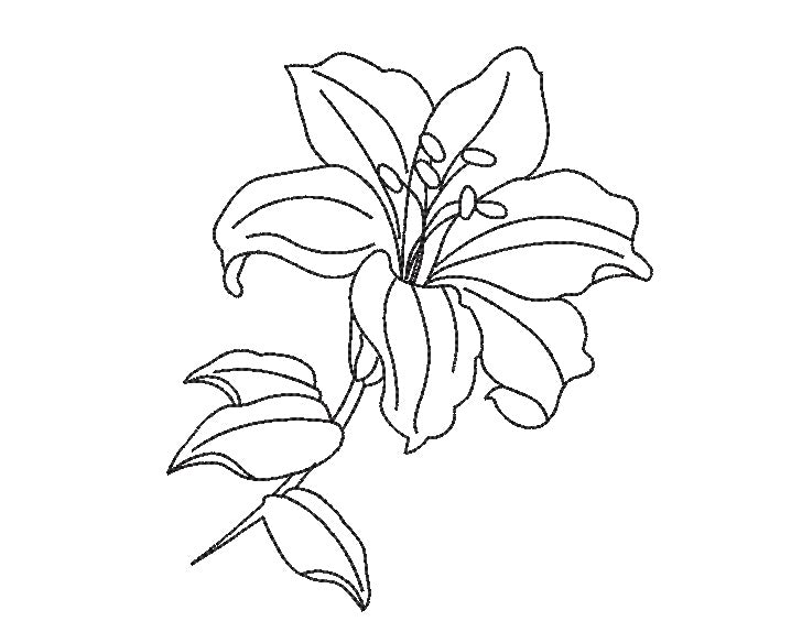 lily flower embroidery Lily Flower One line Machine Embroidery Design