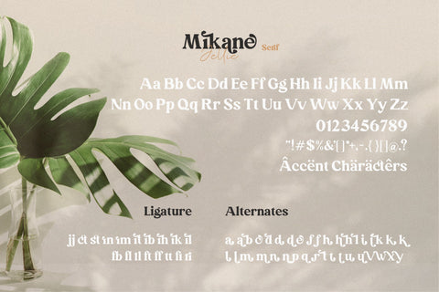 Mikane Jellie Handwritten Font Duo Font Paily Studio 