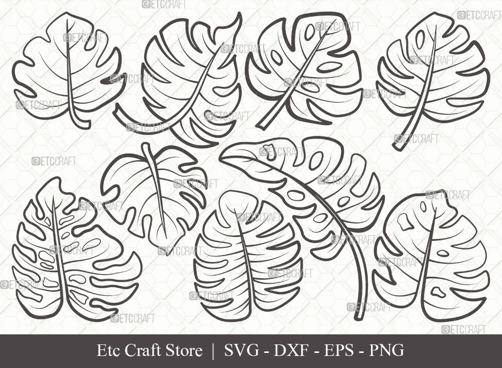 monstera svg Monstera Leaf Outline SVG Cut File | Monstera Leaves Svg | Monstera Leaf With Hole Svg | Monstera Leaves Bundle | Green Leaf SVG | Eps | Dxf | Png |