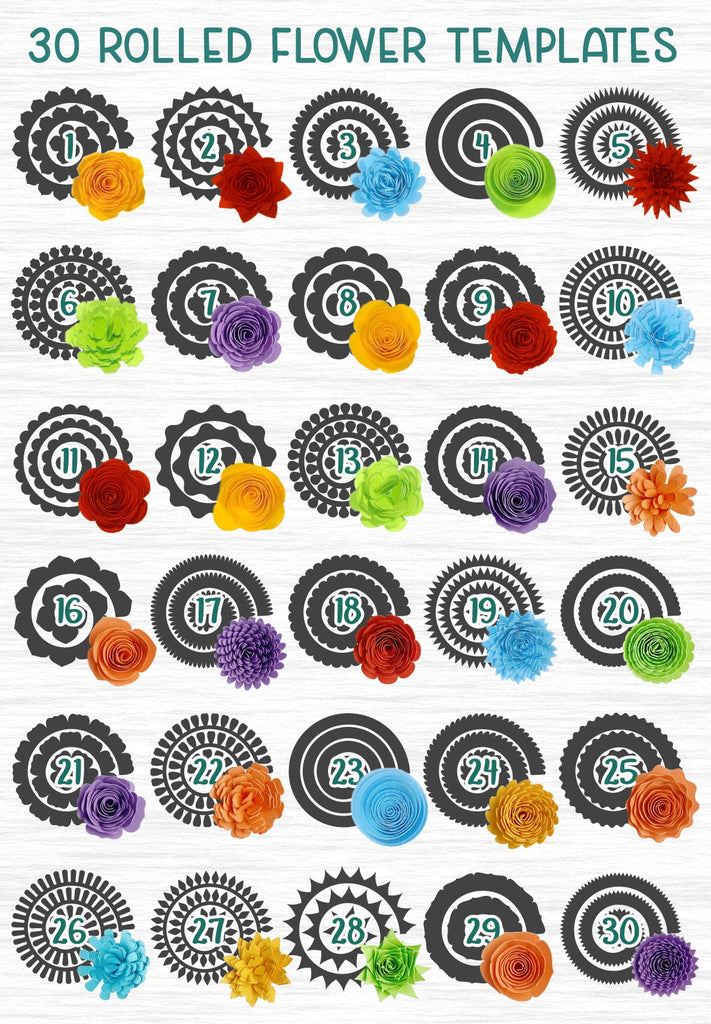 Paper Flowers Bundle| Rolled Flower SVG Templates - So Fontsy paper-flowers-bundle-rolled-flower-svg-templates-so-fontsy