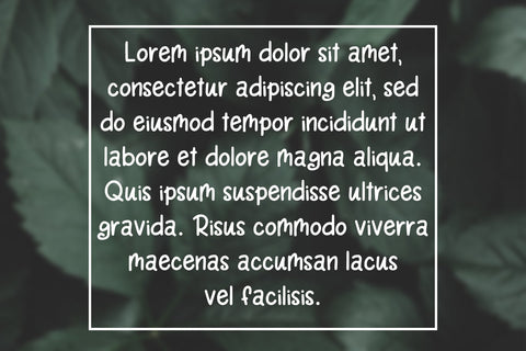 Rain Lily Handwritten Font Font SavoringSurprises