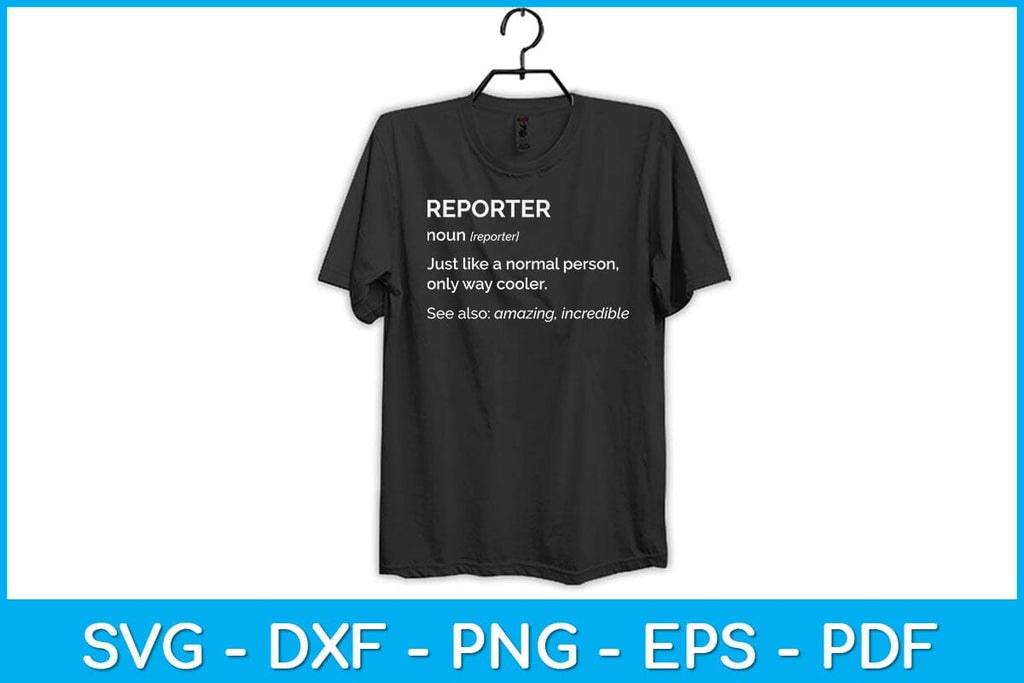 REPORTER DEFINITION MEANING visual data 2