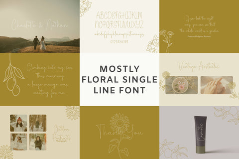 Single Line Font Bundle Vol 1 Font nhfonts 
