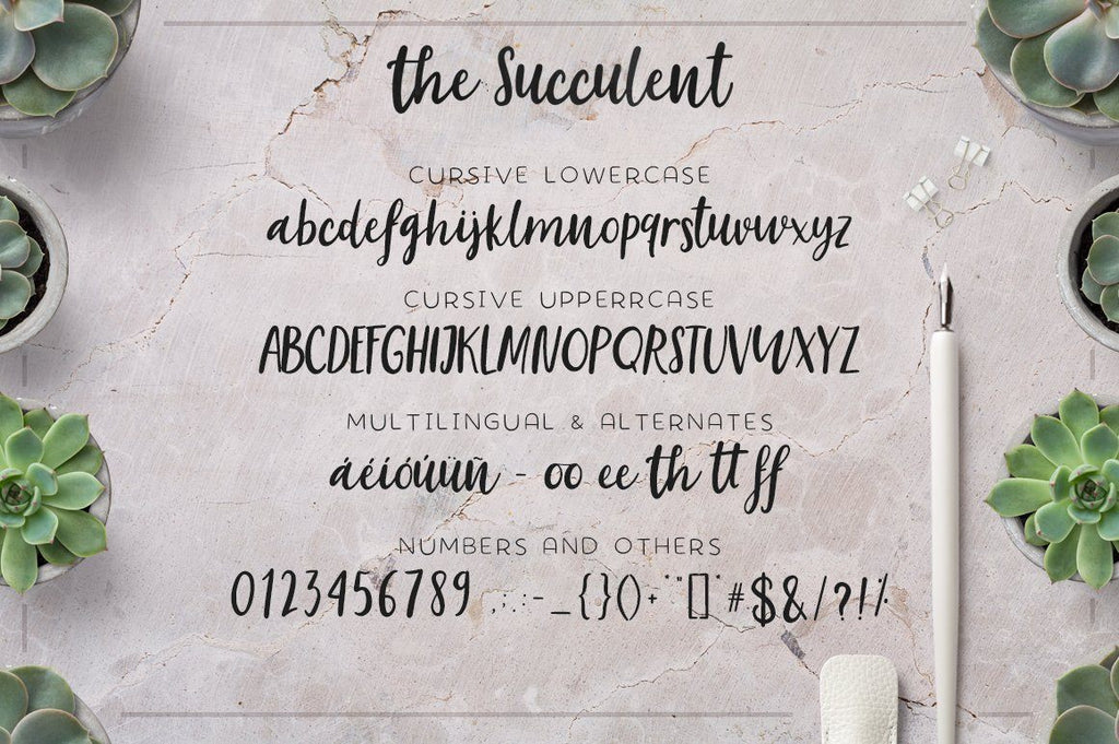sunshine succulent font The succulent - font trio!