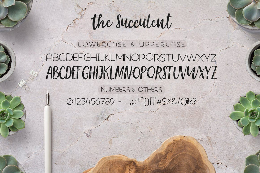 succulent font The succulent - font trio!
