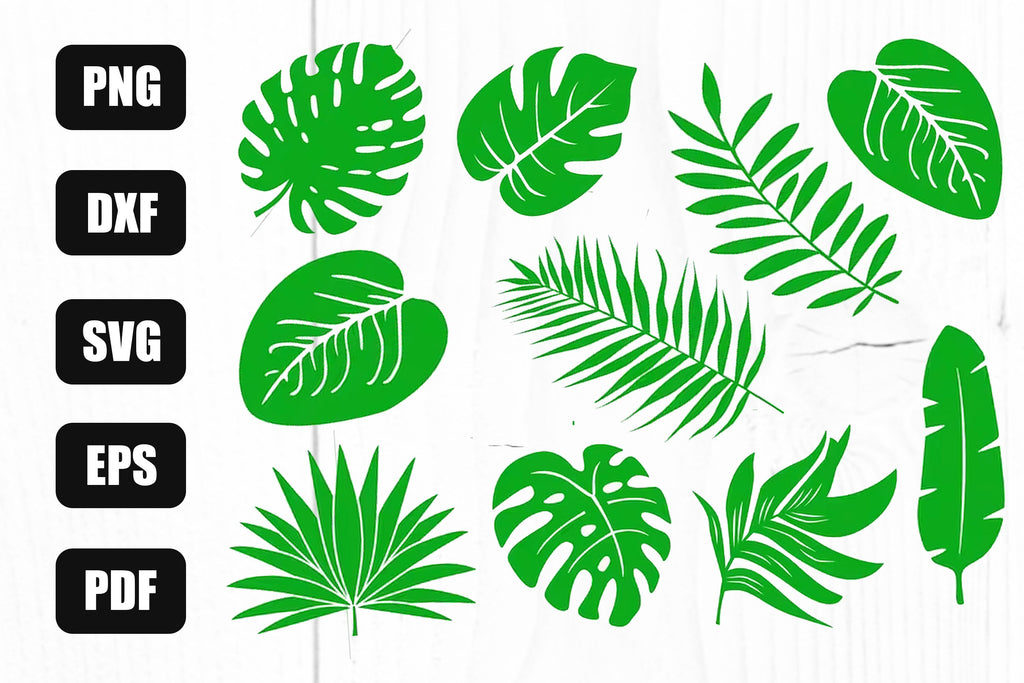 Tropical Leaves Svg Bundle, Tropical Svg Bundle, Palm Leaf Svg, Jungle ...