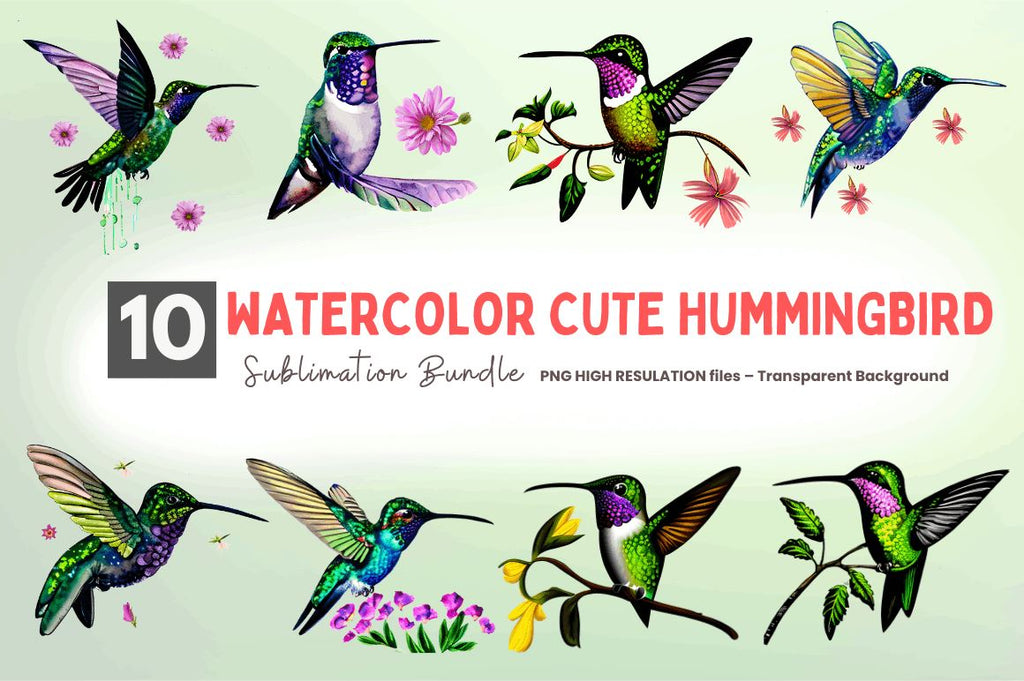 hummingbird clipart cute