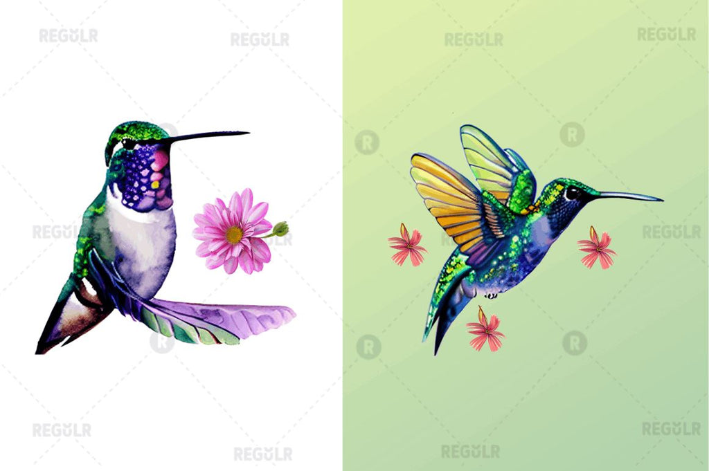 hummingbird clipart cute
