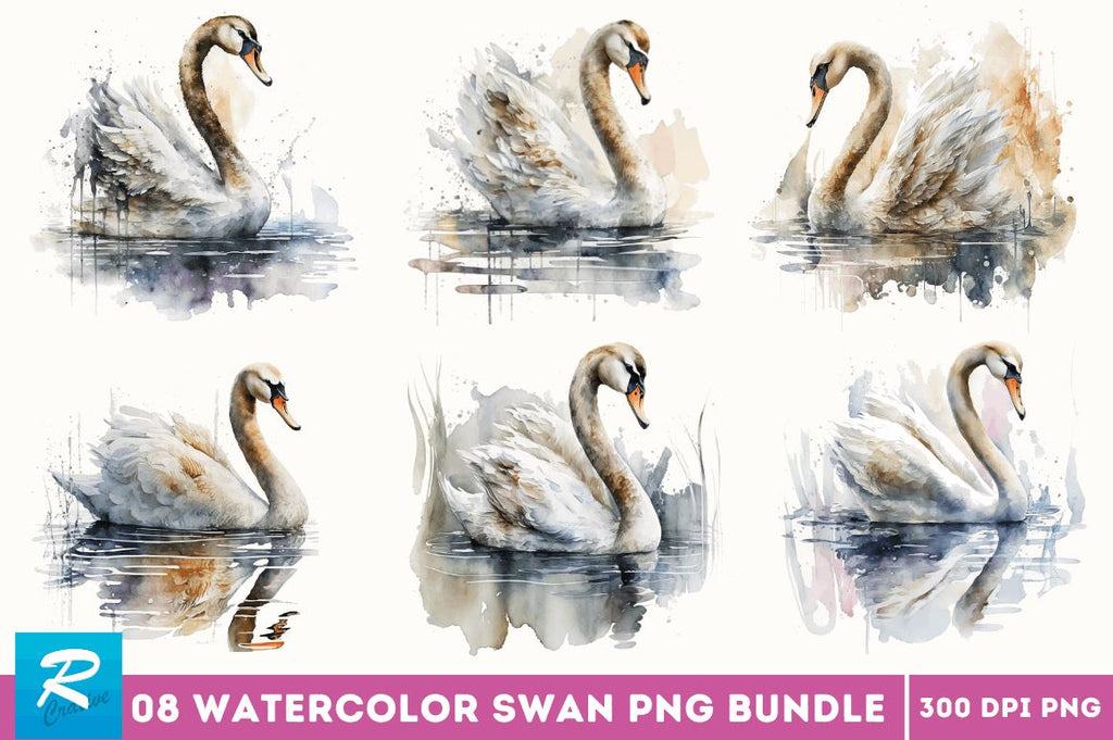 Watercolor Swan clipart Bundle - So Fontsy