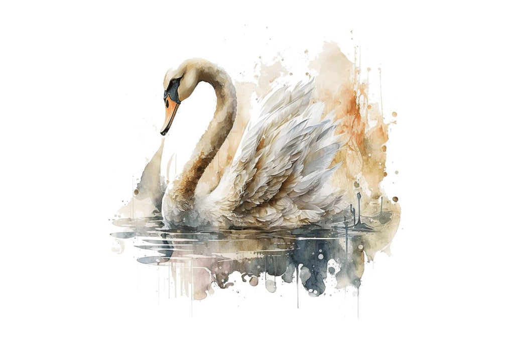 Watercolor Swan clipart Bundle - So Fontsy