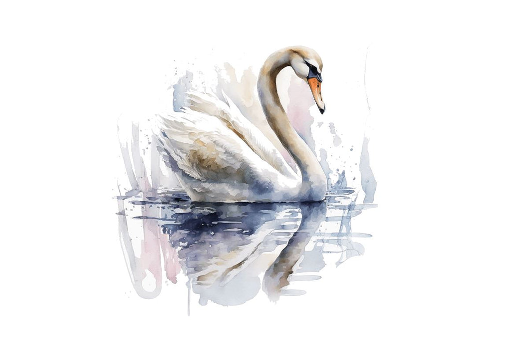Watercolor Swan clipart Bundle - So Fontsy