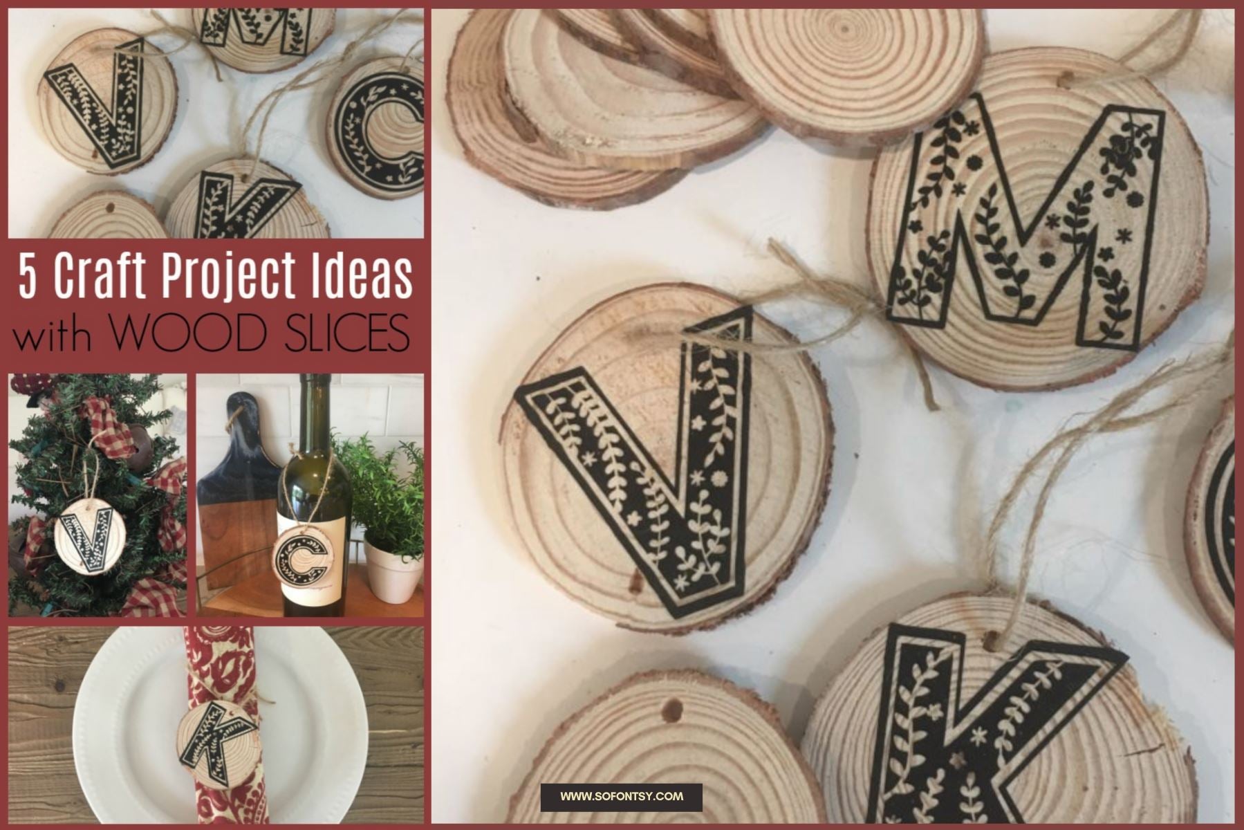 Wood Slices: 5 Wood Slices for crafts & Painting