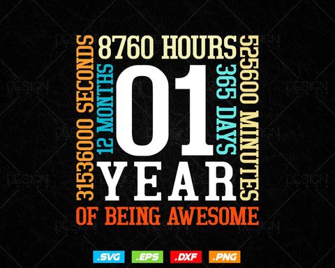 1 Year Of Being Awesome Birthday Svg Png, Retro Vintage Style Happy Birthday Gifts T Shirt Design, Kids Birthday Gift, Birthday Crew Svg SVG DesignDestine 