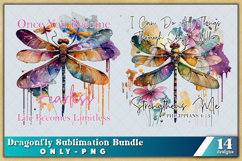 14 Dragonfly Sublimation Bundle, Insect PNG Design, Decorative Collection, Dragonfly PNG, Watercolor Dragonfly, Digital Download, Sublimation PNG Sublimation Jagonath Roy 