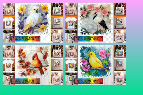 15x PNG Design Pack Bundle , 3D Bird Sublimation afrosvg 