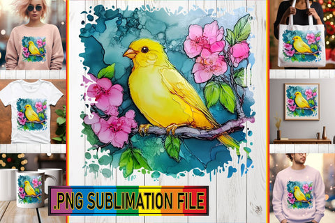 15x PNG Design Pack Bundle , 3D Bird Sublimation afrosvg 