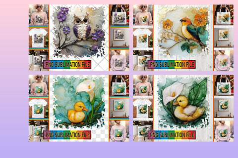 15x PNG Design Pack Bundle , 3D Bird Sublimation afrosvg 