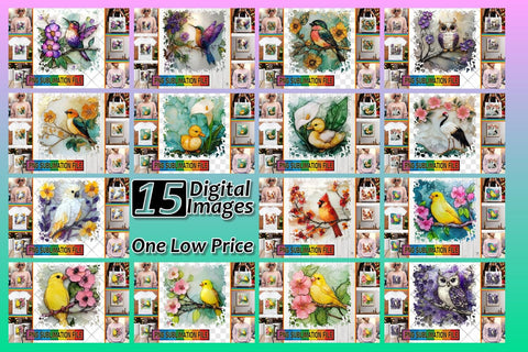 15x PNG Design Pack Bundle , 3D Bird Sublimation afrosvg 