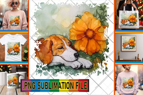 15x PNG Design Selection , Animals Sublimation afrosvg 