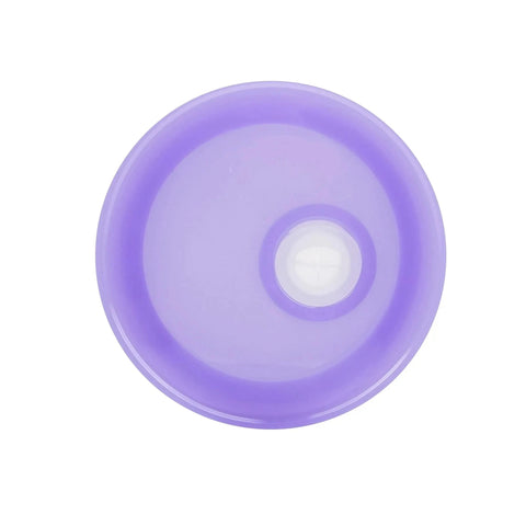 16 oz Glass Can Single Wall - Purple Physical DIY Craft Warehouse 